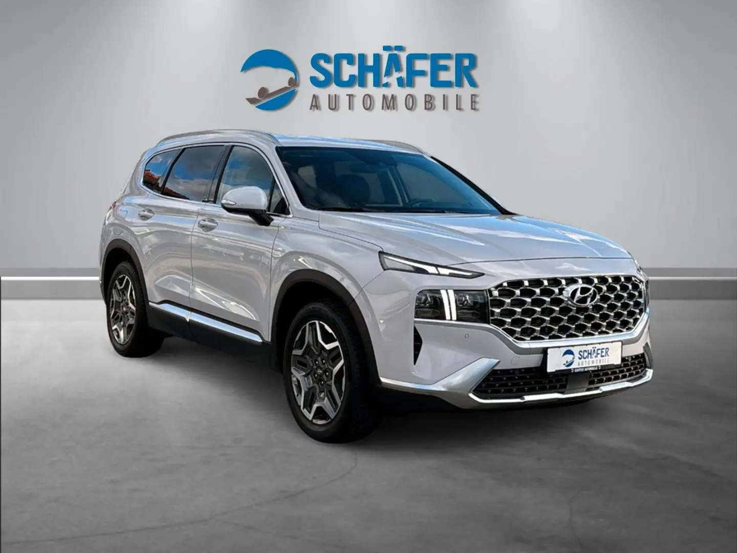 Santa Fe 1.6 Prime PHEV #4WD #ASSIST-P #KRELL