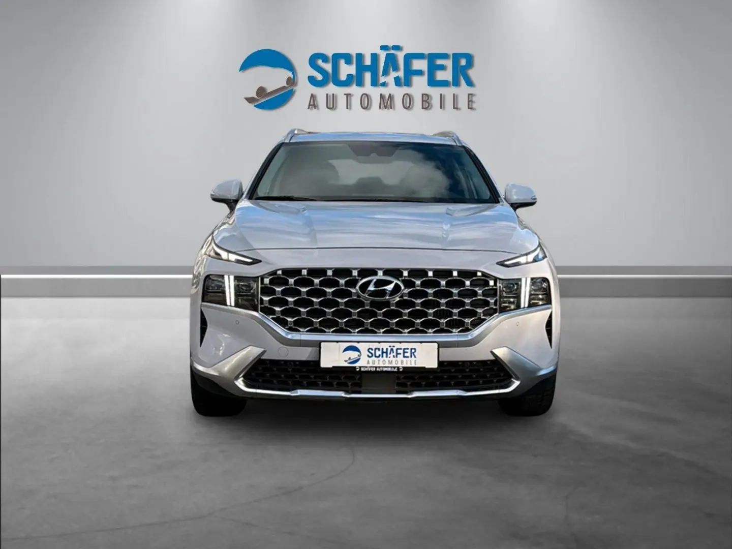 Santa Fe 1.6 Prime PHEV #4WD #ASSIST-P #KRELL