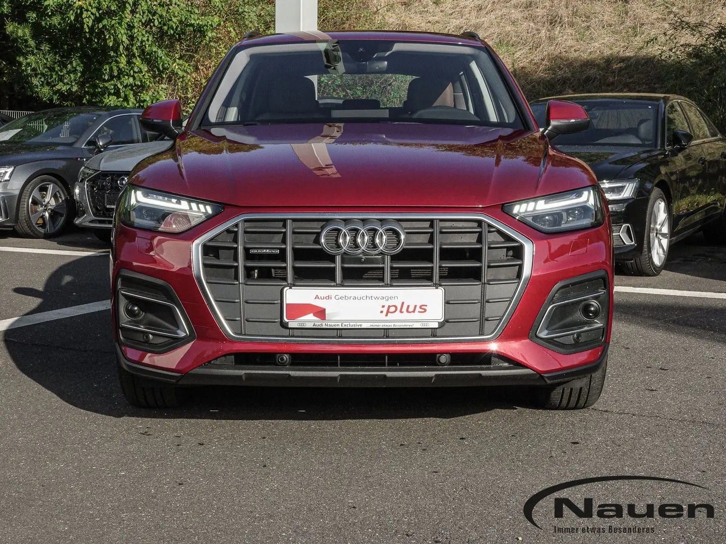 Q5 40 TDI Quattro/Matrix/Acc/360