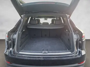 Cayenne 21