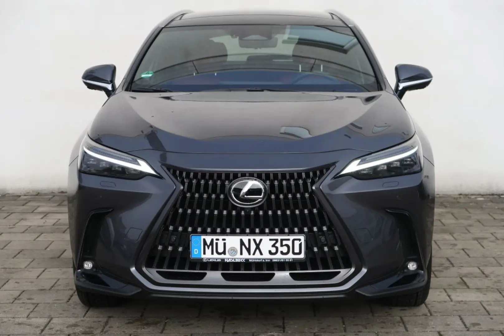 NX 350h Luxury Line