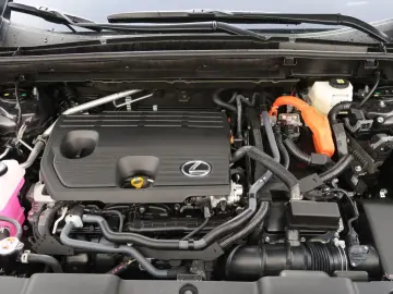 NX 350h Luxury Line