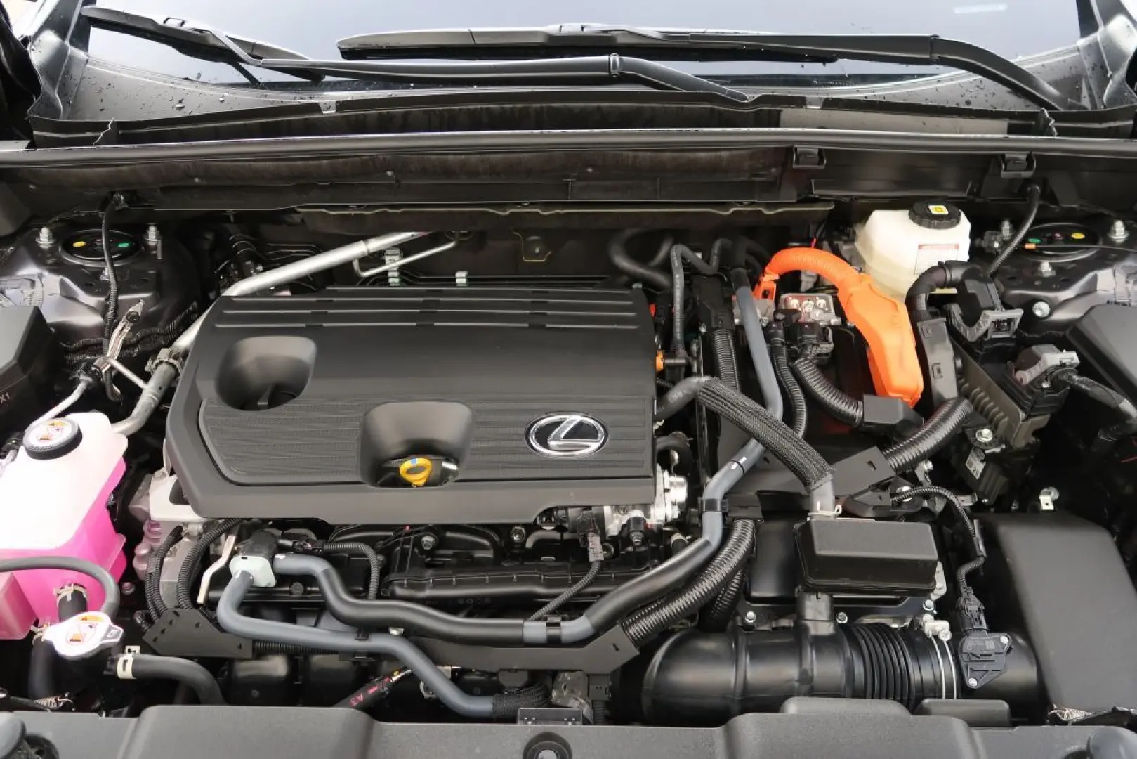 NX 350h Luxury Line