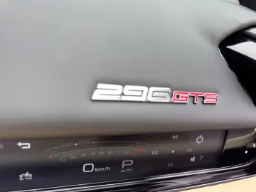 296 GTS ROSSO
