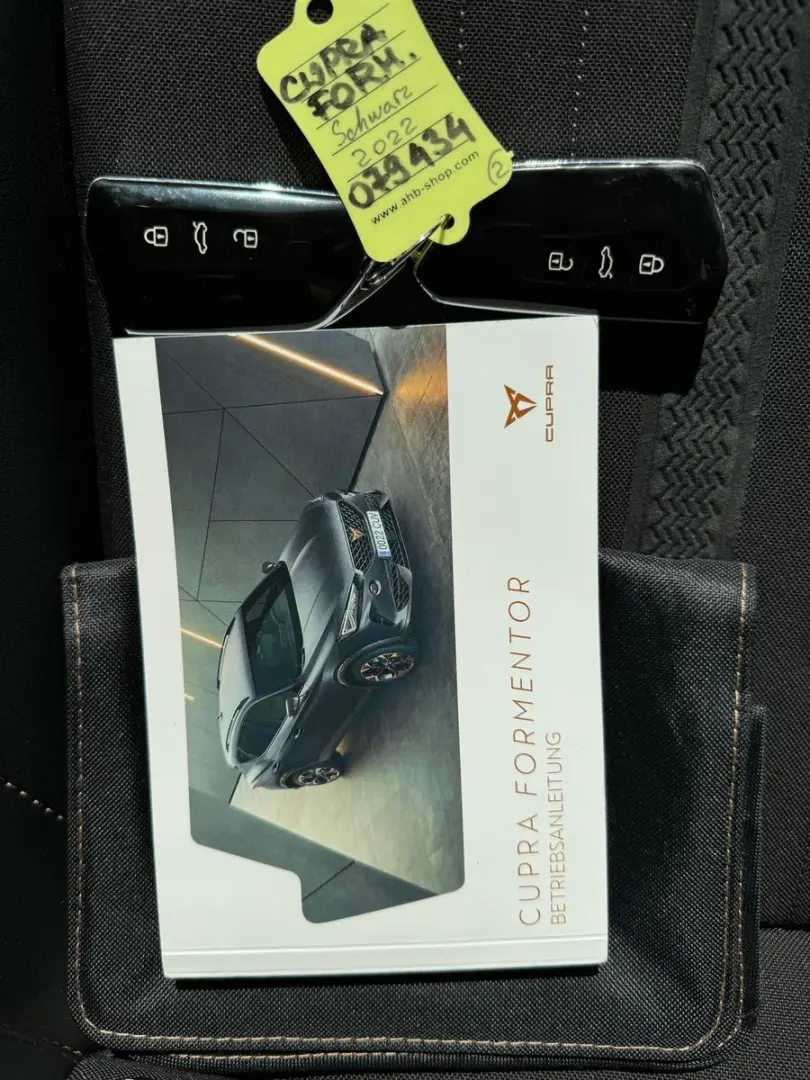 Formentor 1.4 TSI e-Hybrid AHK SHZ Full Link