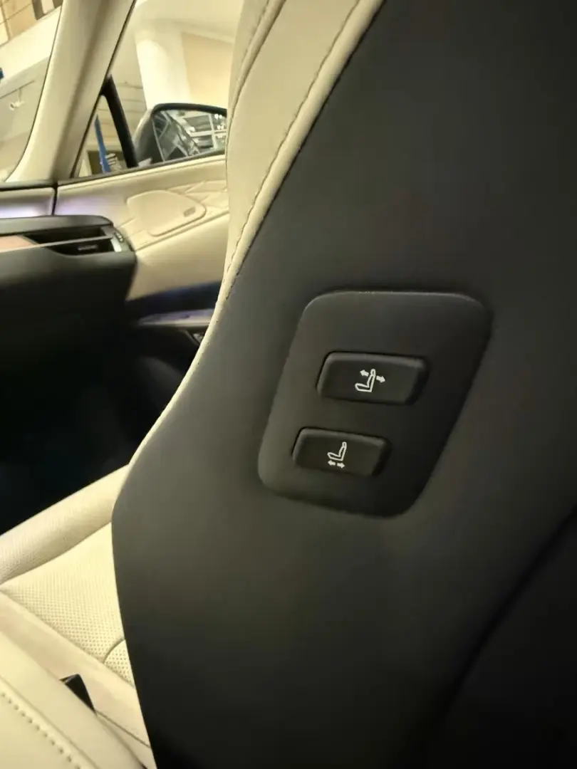 Lexus RX 450h Luxury Line