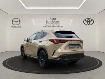 NX 350h E-Four+OVETRAIL+PANO+8-FACH!!!