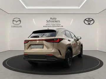 NX 350h E-Four+OVETRAIL+PANO+8-FACH!!!