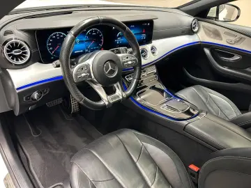 CLS53 AMG 4MATIC *BURM*SHD*360°*HD-UP*