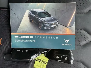 Cupra Formentor 2.0TSI VZ 4Drive SHZ ACC Leder