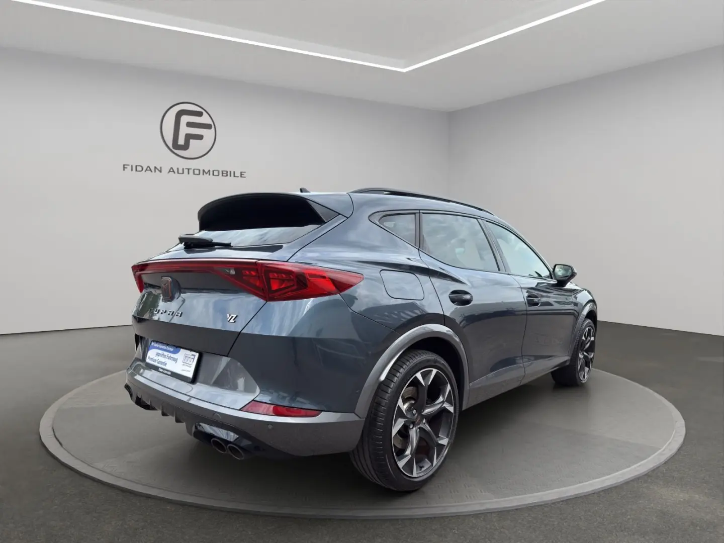 Cupra Formentor VZ 4Drive Pano Kamera Ambient