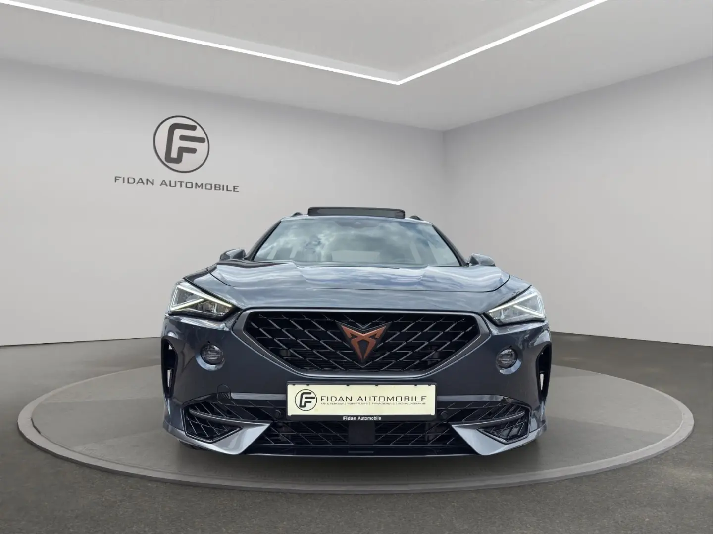 Cupra Formentor VZ 4Drive Pano Kamera Ambient