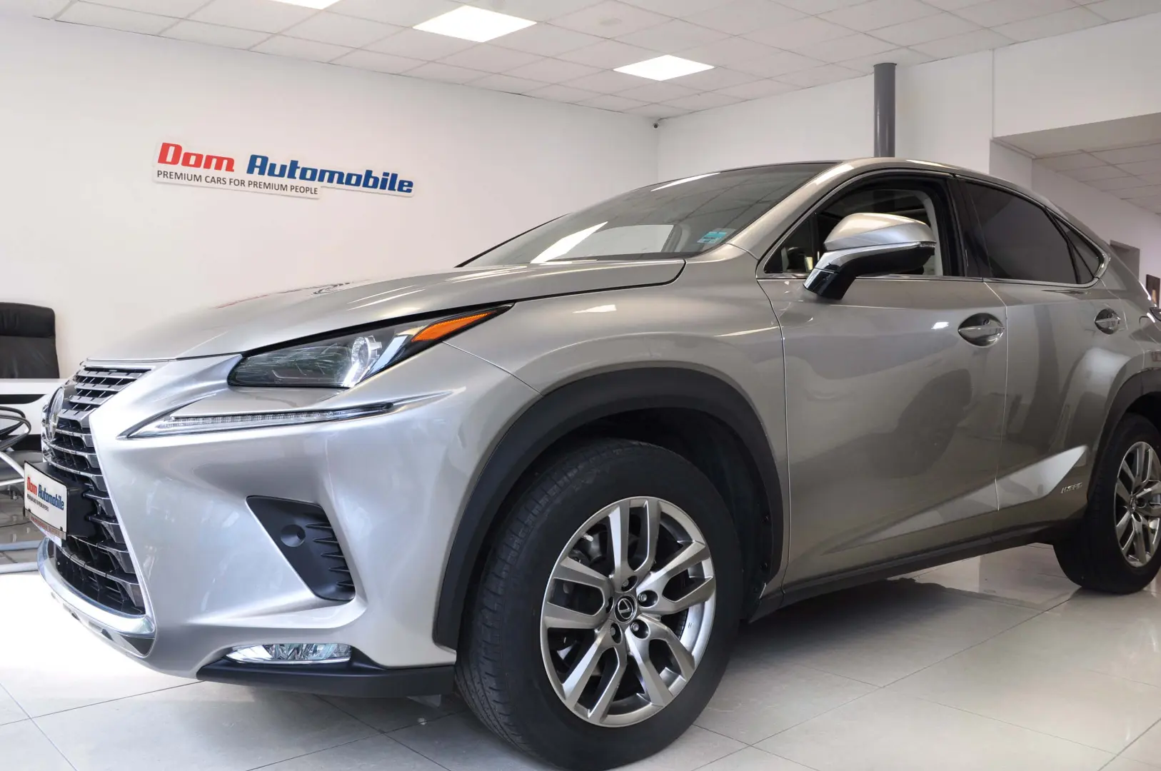 Lexus NX 300h EXE Panorama GARANTIE