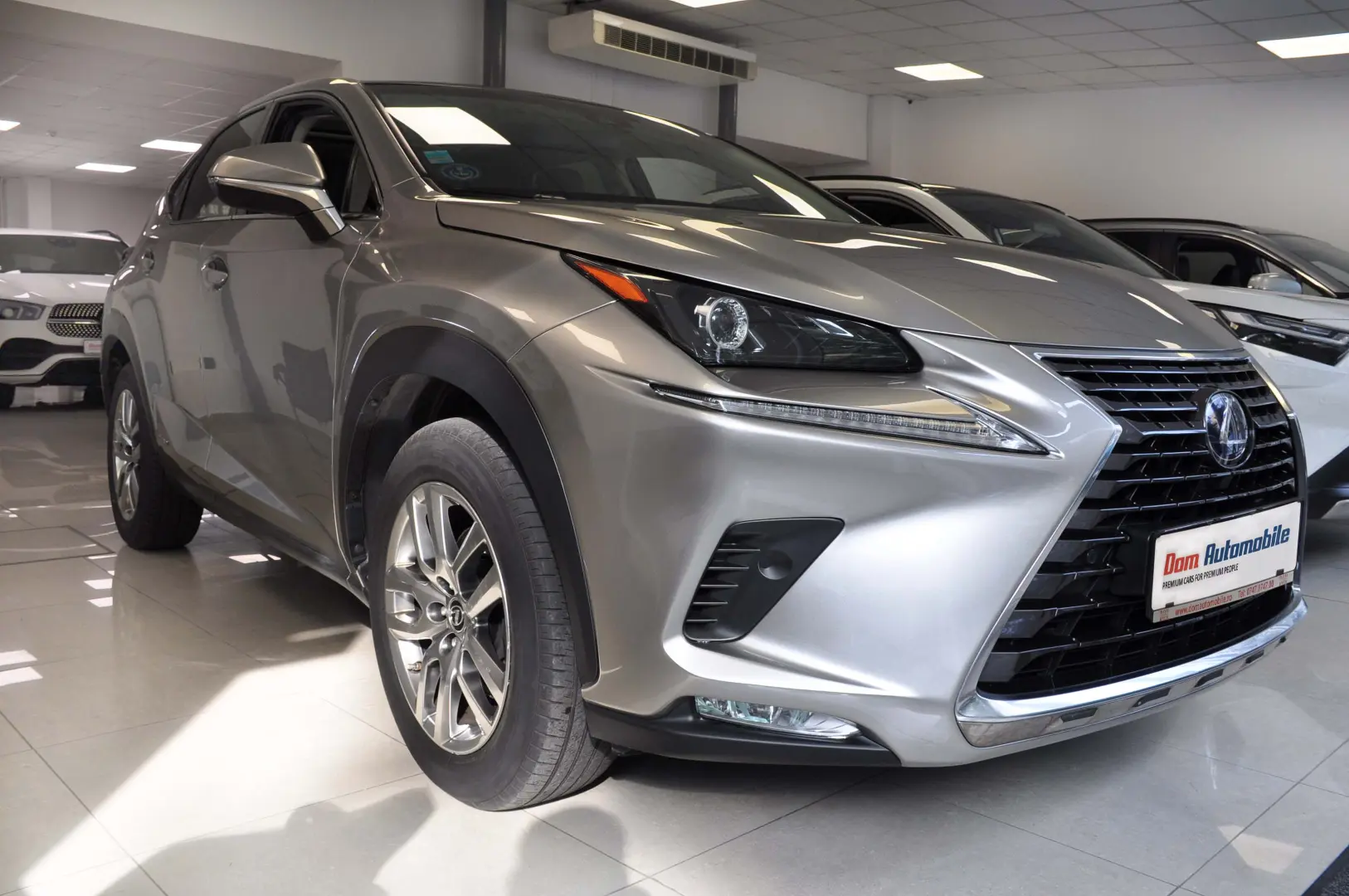 Lexus NX 300h EXE Panorama GARANTIE