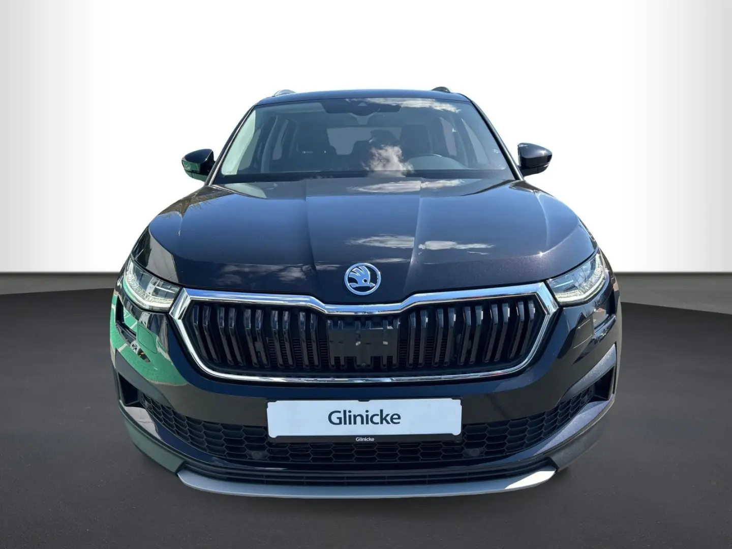Skoda Kodiaq 2.0 TDI Style 4x4 Leder  Area View  LED