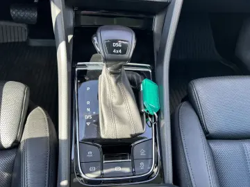 Skoda Kodiaq 2.0 TDI Style 4x4 Leder  Area View  LED