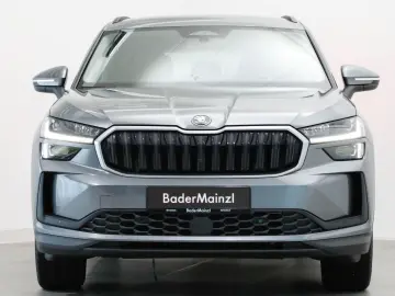 Skoda Kodiaq 2.0 TDI 4x4 DSG Selection Matrix
