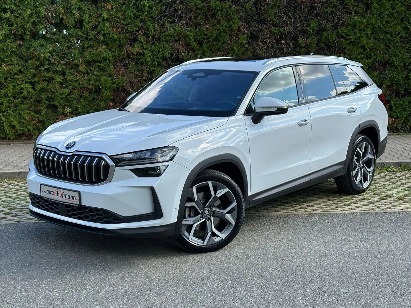 Skoda Kodiaq Exclusive  4x4  STHZ Leder PADACH eHK AHK