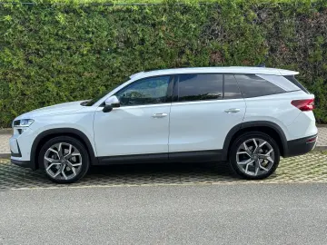 Skoda Kodiaq Exclusive  4x4  STHZ Leder PADACH eHK AHK
