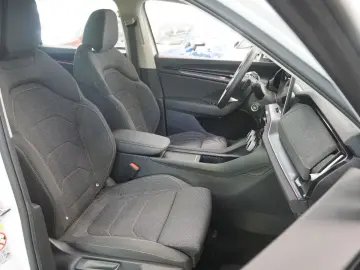 Skoda Kodiaq 2.0 TDI 4x4 Selection ACC AHK STHZ 7-SITZ