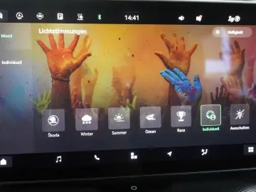 Skoda Kodiaq 2.0 TDI 4x4 Selection ACC AHK STHZ 7-SITZ