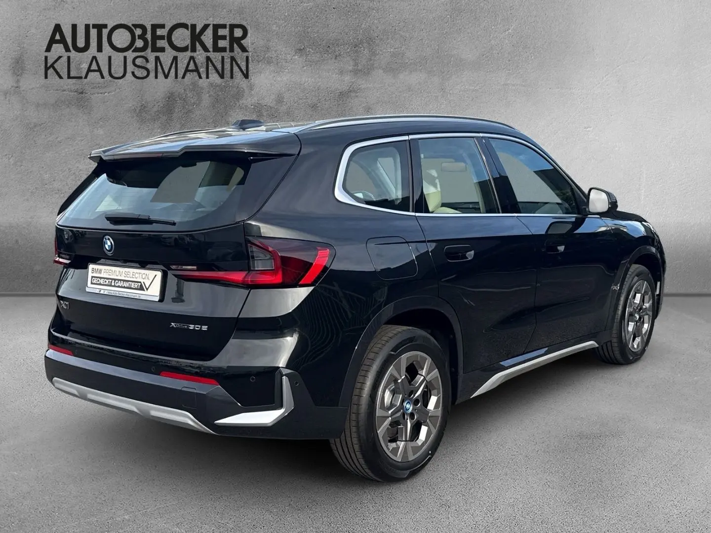 X1 xDrive30e xLine 18''LC PROF AHK HuD SPORTSITZ