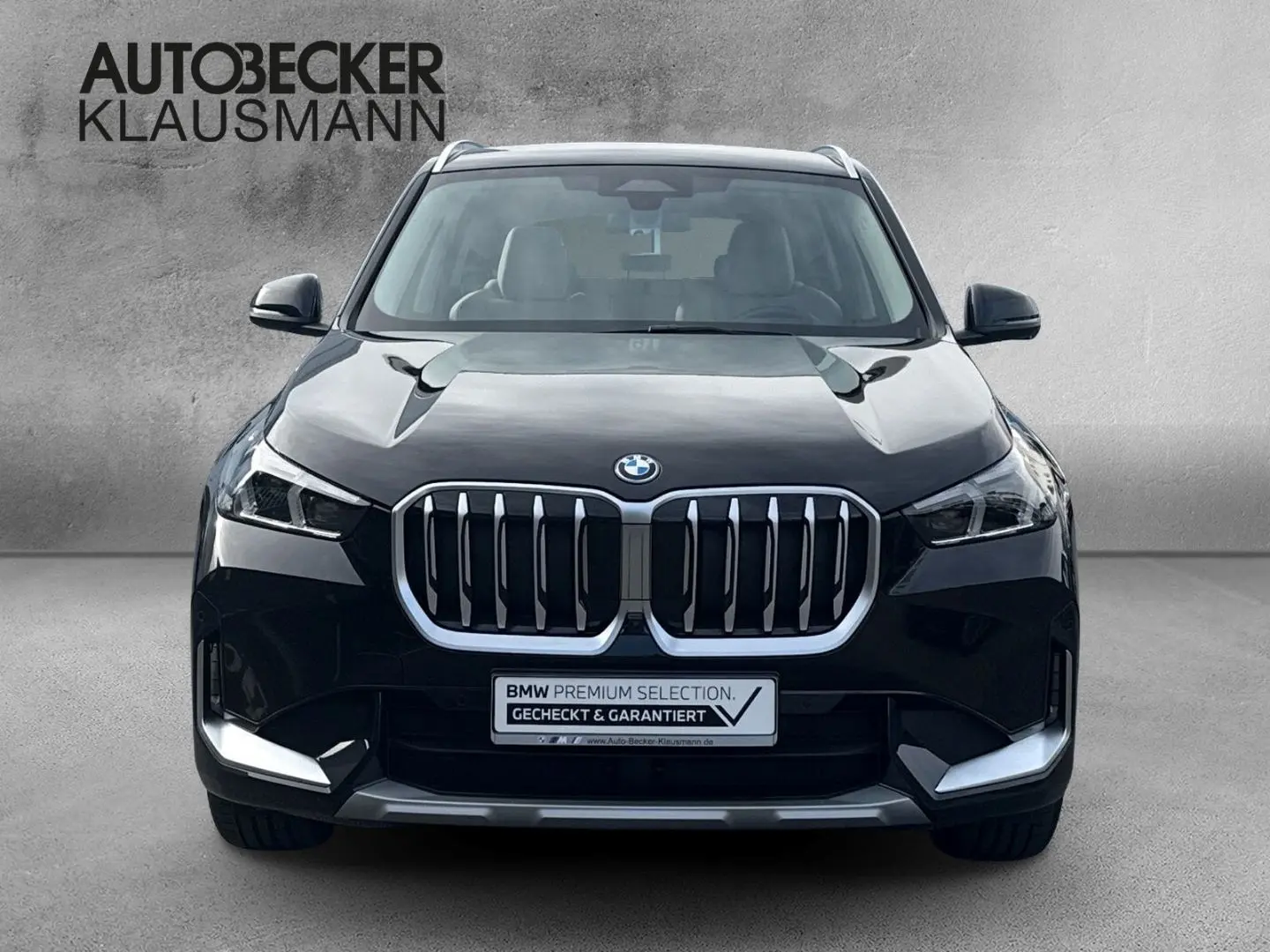 X1 xDrive30e xLine 18''LC PROF AHK HuD SPORTSITZ