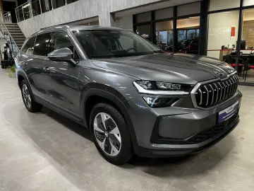 Skoda Kodiaq TDI 4x4 Selection AHK ACC 5JG Matrix Pano