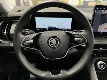 Skoda Kodiaq TDI 4x4 Selection AHK ACC 5JG Matrix Pano