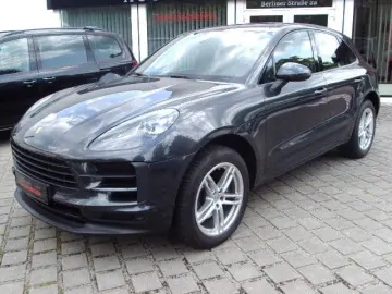 Macan