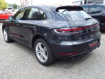 Macan