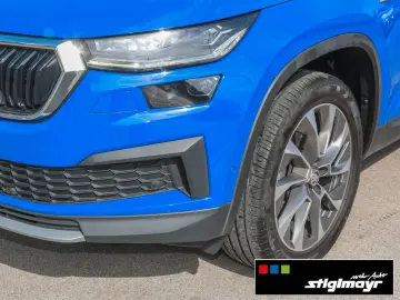 Kodiaq Ambition 2.0 TDI DSG Matrix+PANO+STANDHZG