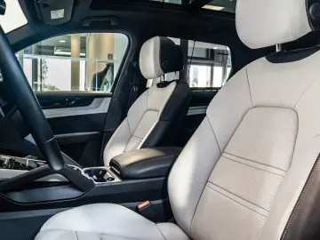 Porsche Cayenne Direcție E-Hybrid 22