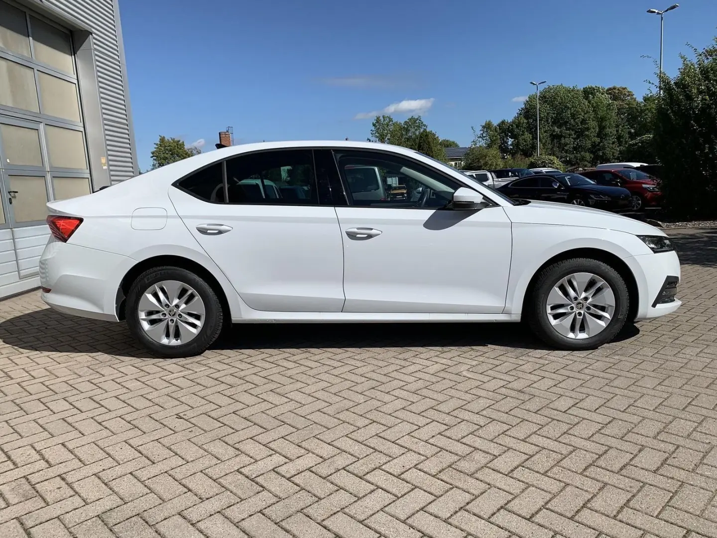 Octavia 1.5TSI DSG Amb. Winterpaket+ACC+Kessy