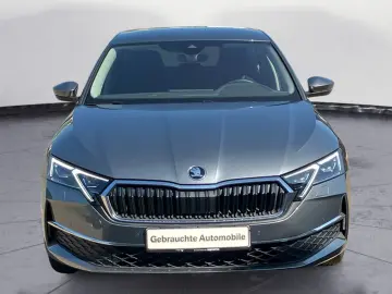 Octavia 1.5 TSI MHEV DSG Selection ACC Navi DAB