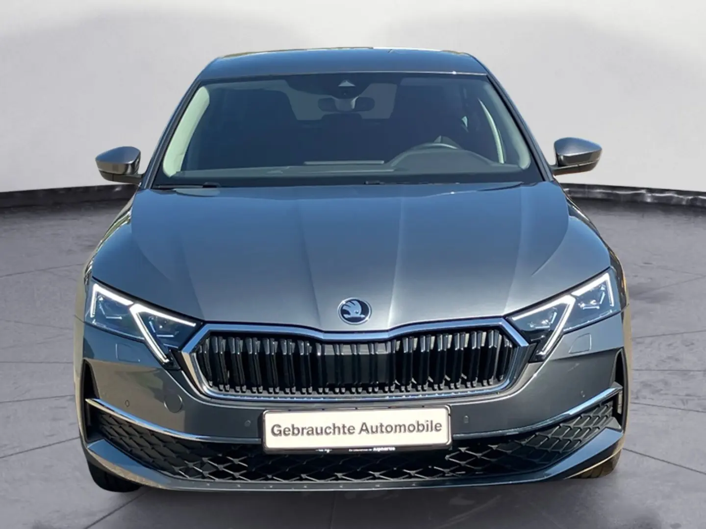 Octavia 1.5 TSI MHEV DSG Selection ACC Navi DAB