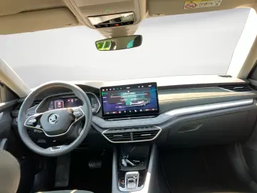 Octavia 1.5 TSI MHEV DSG Selection ACC Navi DAB