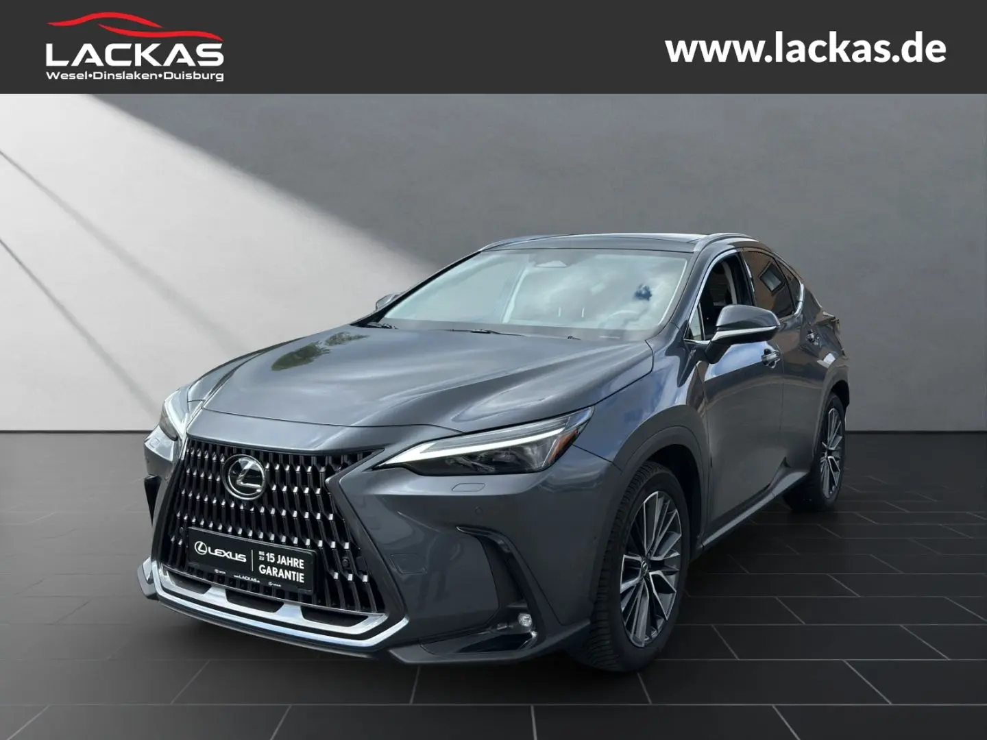 NX 450h+ Luxury*LED*360*ML*Panorama*4x4*Allwette