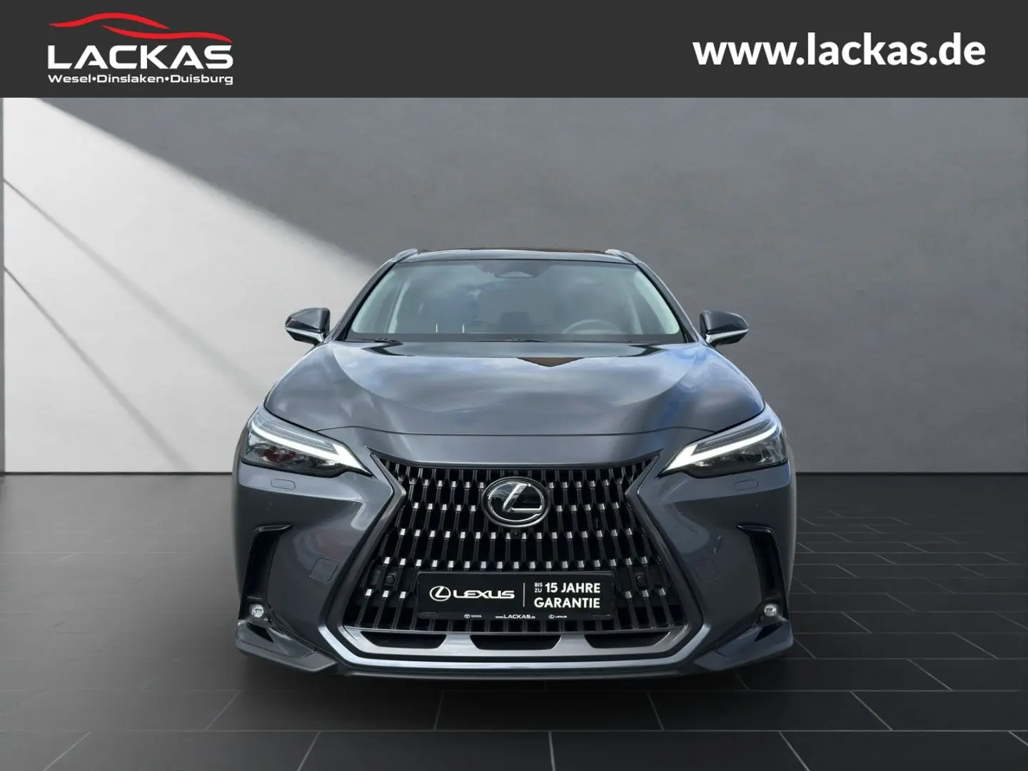 NX 450h+ Luxury*LED*360*ML*Panorama*4x4*Allwette