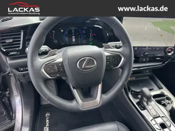 NX 450h+ Luxury*LED*360*ML*Panorama*4x4*Allwette