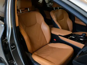 NX 450h+ Luxury AWD