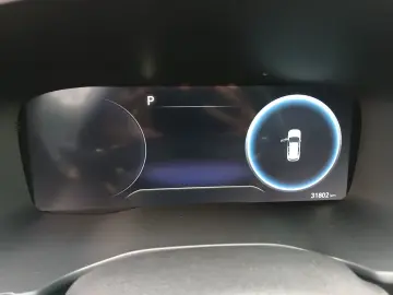 Hyundai Santa Fe Hybrid 4WD 6AT Luxury