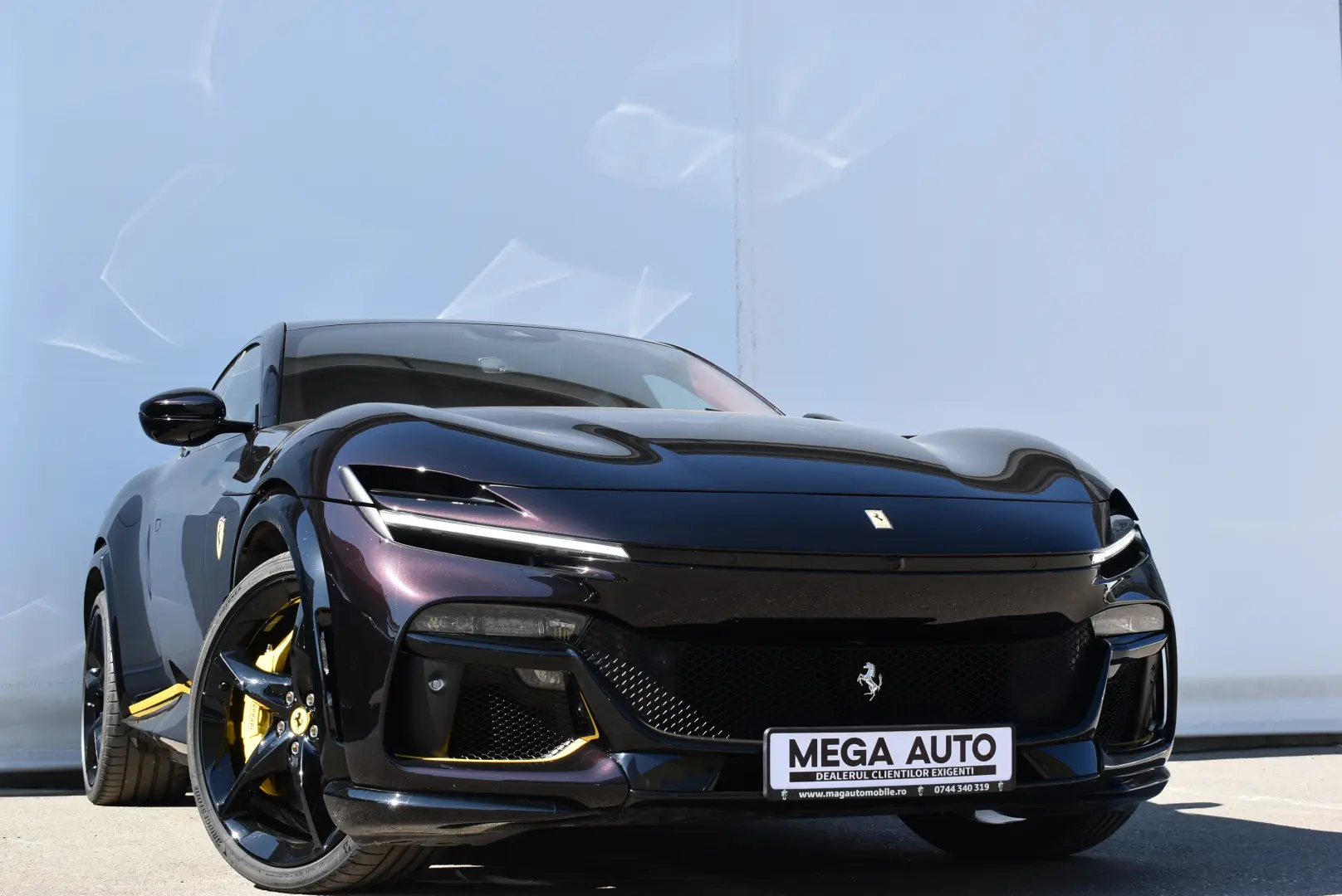 FERRARI PUROSANGUE