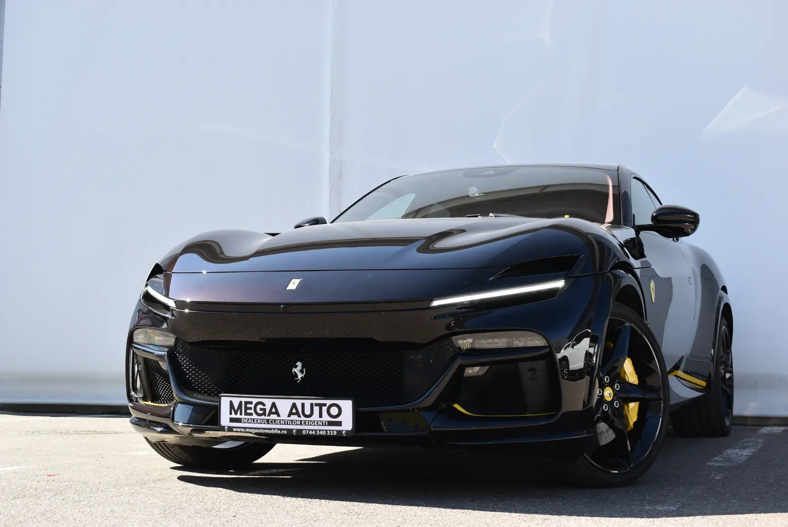 FERRARI PUROSANGUE