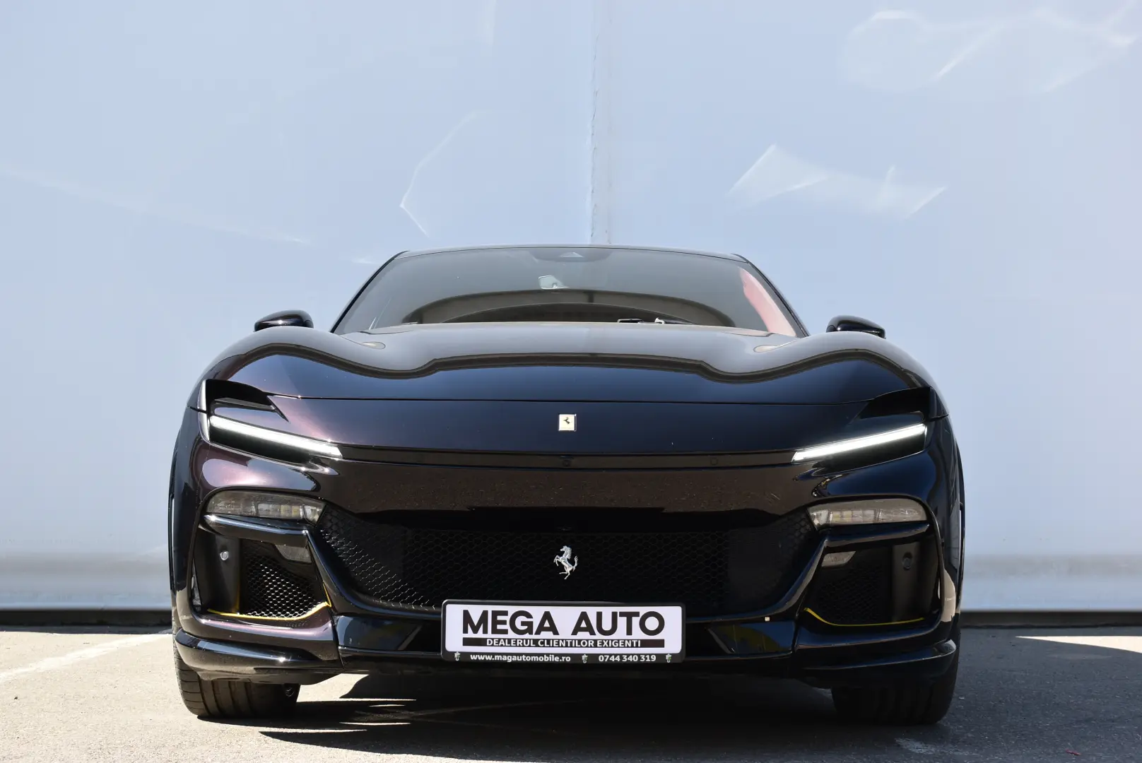 FERRARI PUROSANGUE