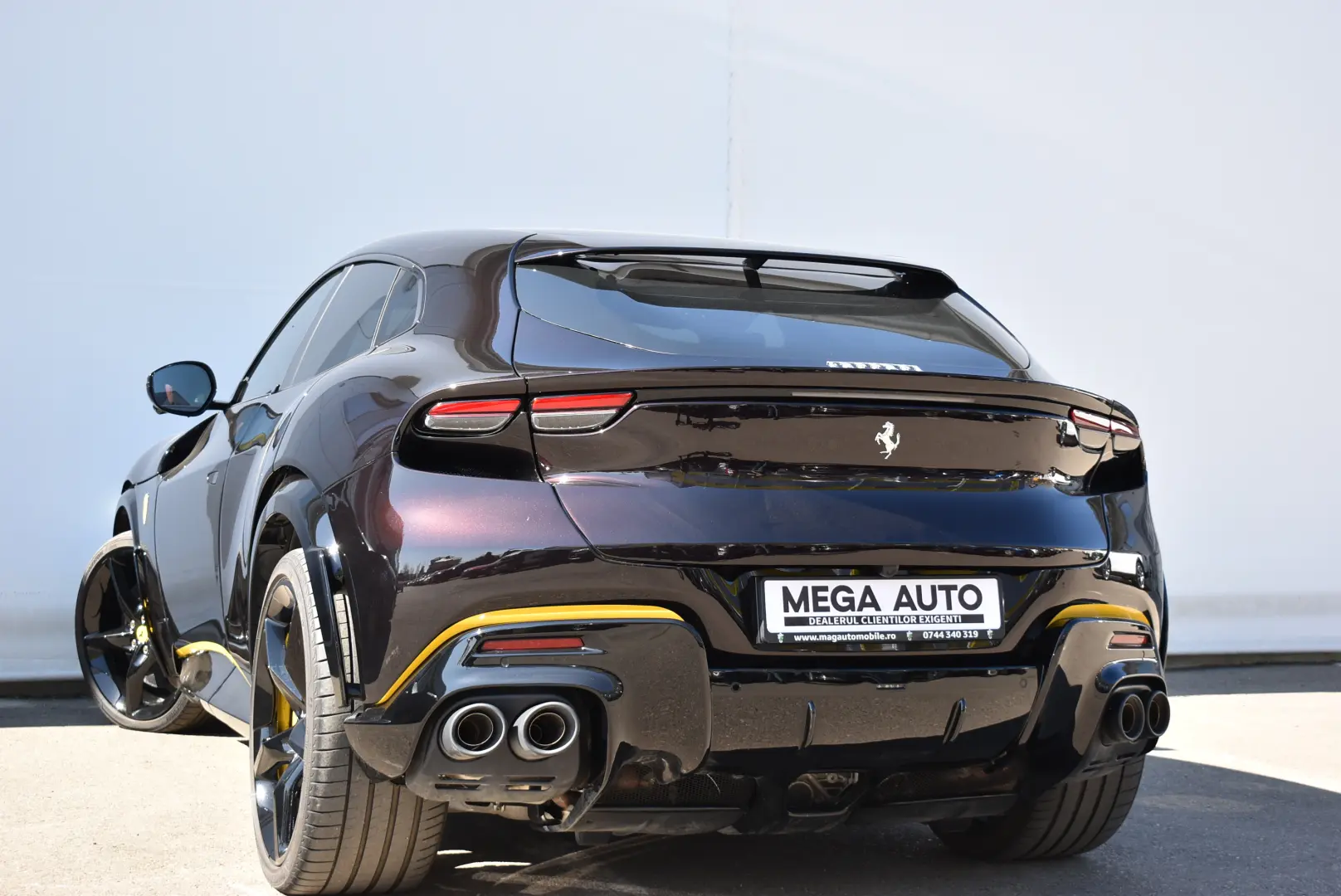 FERRARI PUROSANGUE