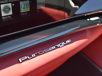 FERRARI PUROSANGUE