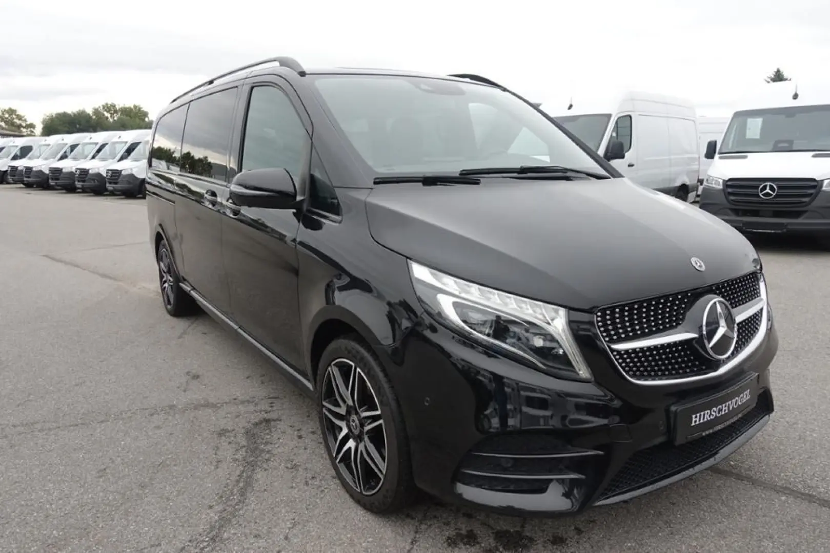 V 300 d AVANTGARDE EDITION 4M XXL AMG Luxussitze