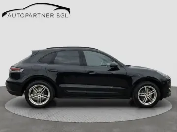 Macan