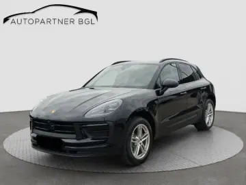Macan